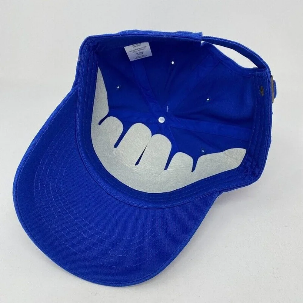 NWT Life Is Good Strapback‎ Hat Cap Ski Blue Golf